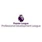 Professional Development League Anh