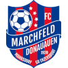 SC Mannsdorf logo