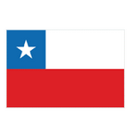 U19 Nữ Chile logo