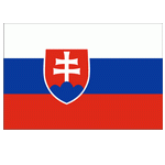 Futsal Slovakia logo