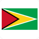 Guyana U20 logo
