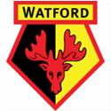 U21 Watford logo