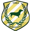 Samambaia DF logo