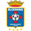 Blooming logo